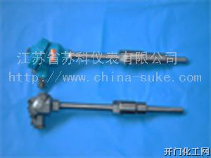 电站测温用热电偶/阻