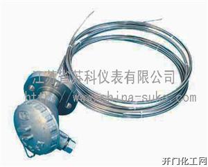 多点温度计