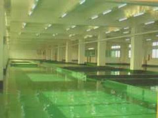 乙烯基防腐地坪漆